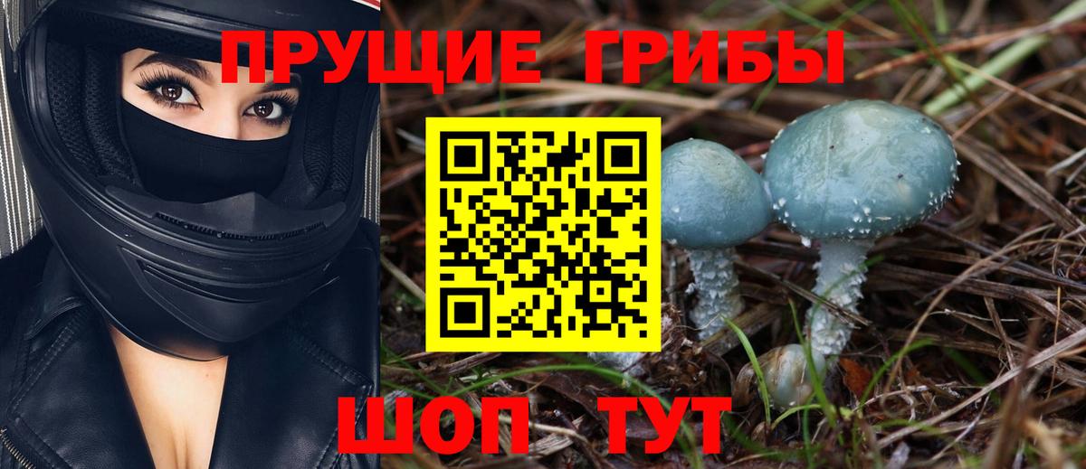 Новоалтайск  Псилоцибиновые грибы Magic Shrooms  Вход с VPN 